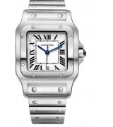 Cartier Santos Cartier 076 Automatic Neutral Watch W20106X8 
