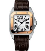 Cartier Santos 100 W20107X7 Automatic Watch 44.20MM Brown Leather